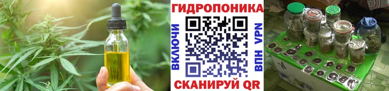 Cannafood конопля  что такое   Елизаветинская 