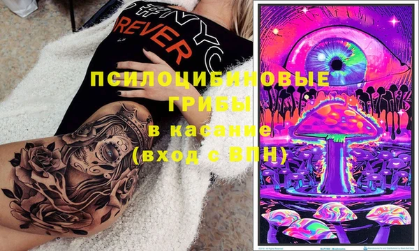 амф Покачи