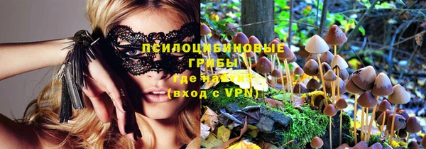 мдпв Верея