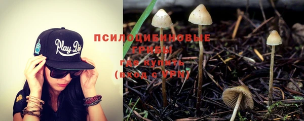мдпв Верея
